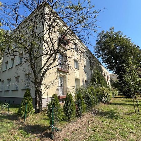 Apartament Centrum Rp 卡托维兹 外观 照片