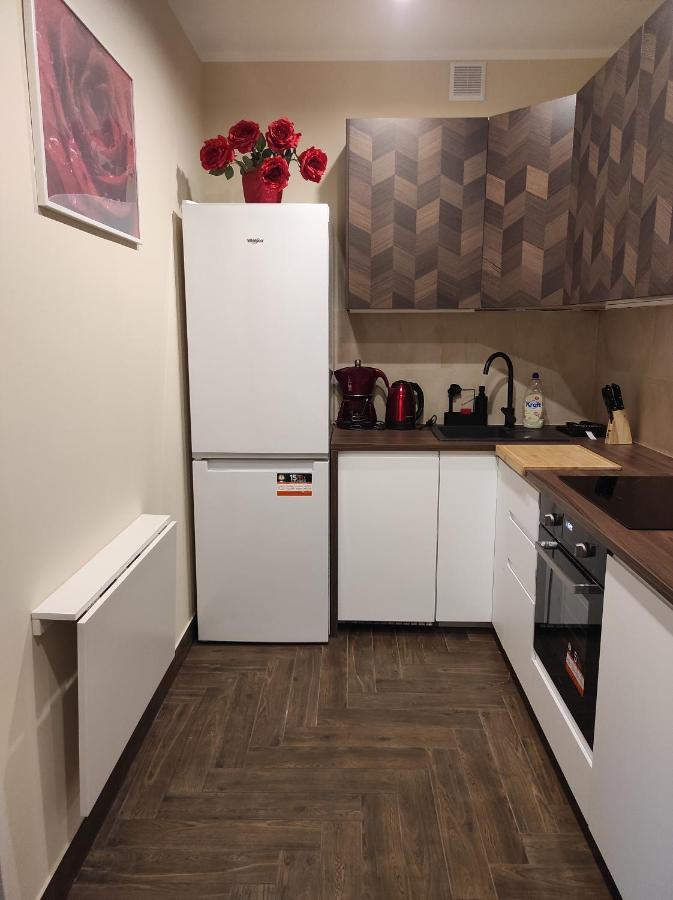 Apartament Centrum Rp 卡托维兹 外观 照片