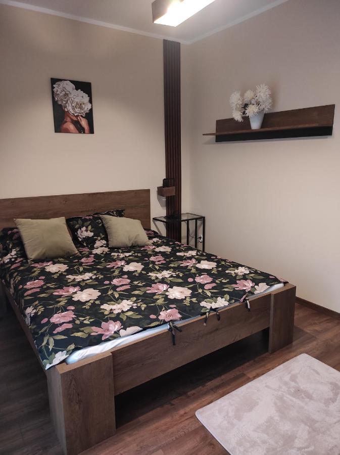 Apartament Centrum Rp 卡托维兹 外观 照片