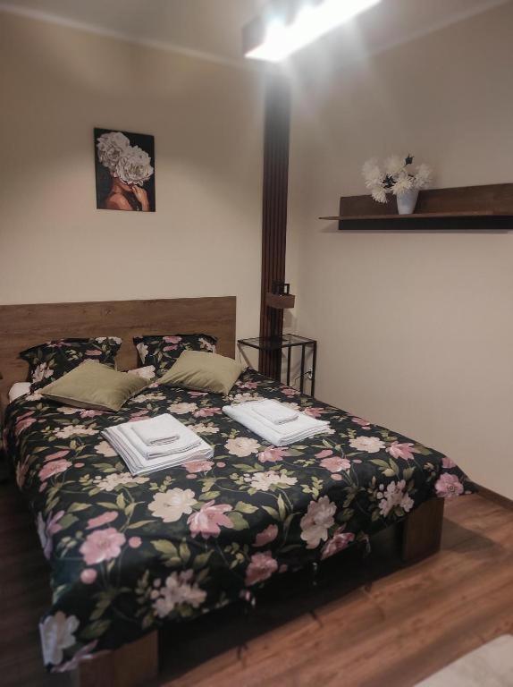 Apartament Centrum Rp 卡托维兹 外观 照片